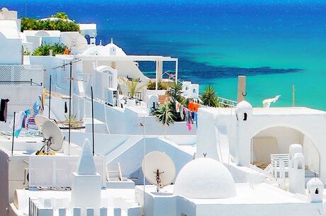 Klasik Tunus Turu (İstanbul Hareketli)