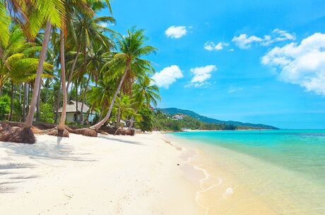 Bangkok Phuket Turu (Emirates Havayolları İle) (İstanbul Hareketli)