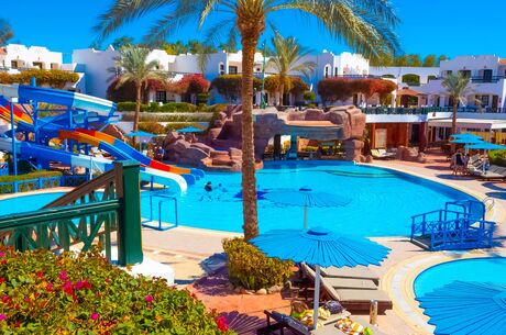 Piramitlerden Kızıldenize Kahire Sharm Turu (Istanbul Hareketli)