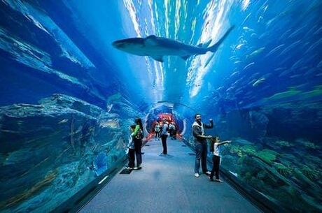 Dubai Turu Sunexpress Havayolları İle - 4 Gece (İzmir Hareketli)