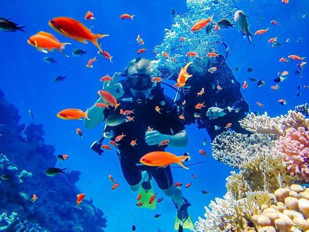 Sharm El Sheikh Turu 4 Gece Pegasus Havayolları İle