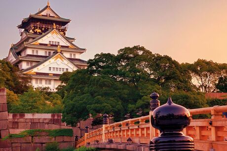 Büyük Japonya Turu (İstanbul Hareketli)