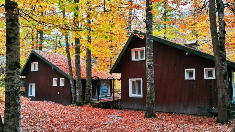 Habitat Mesire Evleri