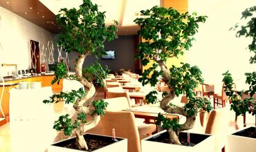 Oruçoğlu Oreko Otel