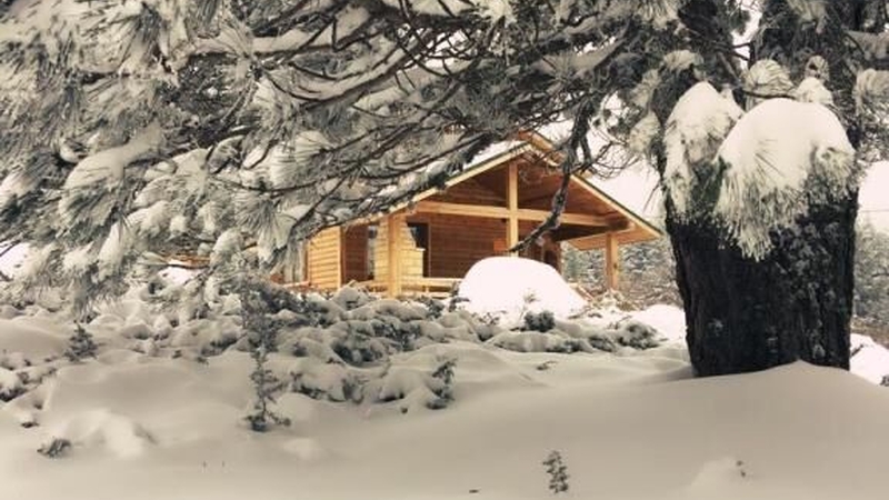 Uludağ Orman Köşkleri