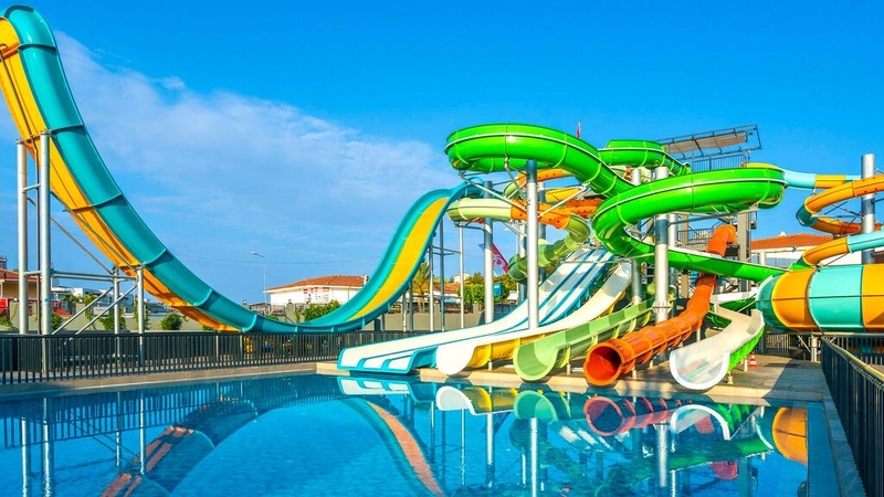 Calyptus Kirman Premium