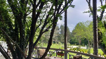 Bolu Koru Hotel