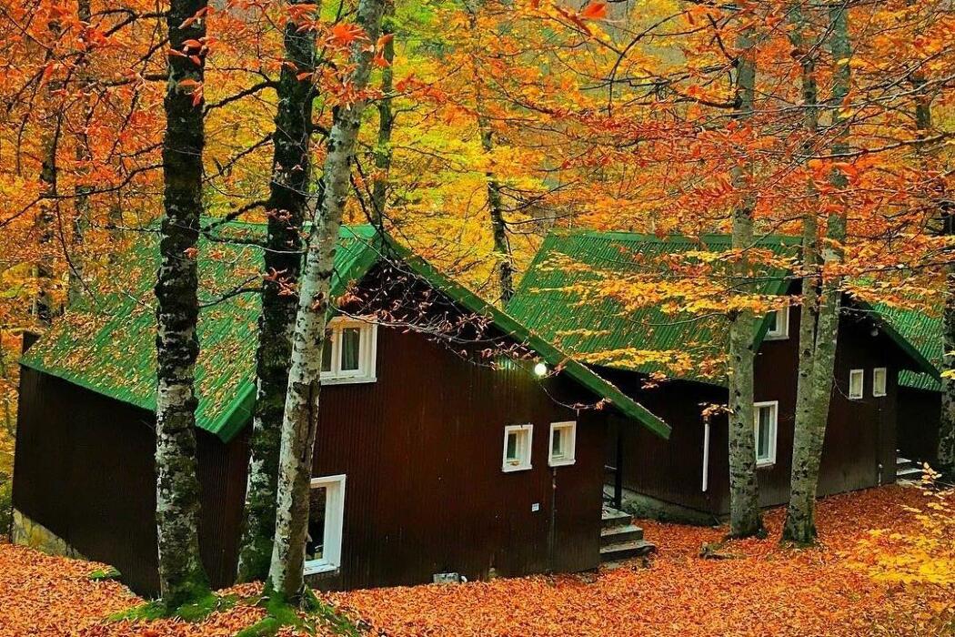 Habitat Mesire Evleri