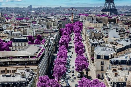 Görkemli Benelüx Sunexpress Havayolları İle (İzmir Hareketli)