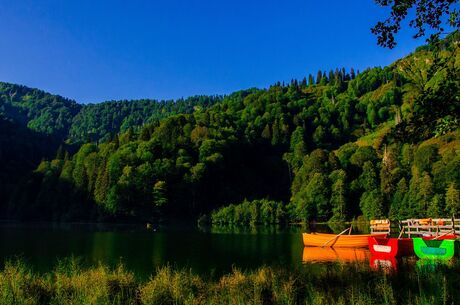 Karadeniz Esintisi Ve Batum Turu (İzmir Hareketli)