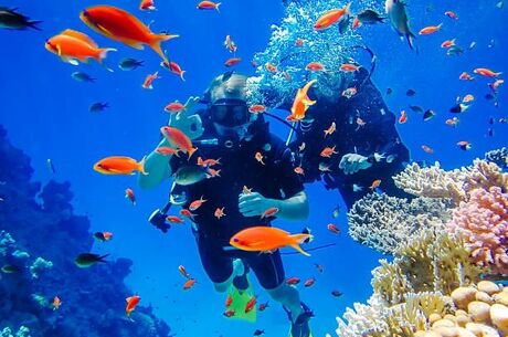 Sharm El Sheikh Turu Pegasus Havayolları İle