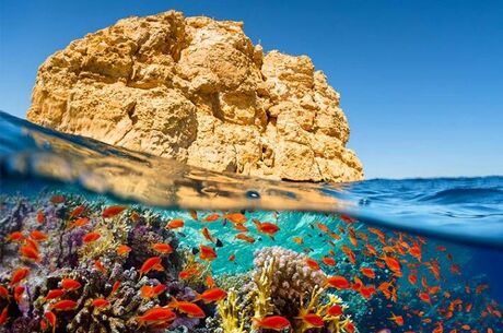 Sharm El Sheikh Turu Pegasus Havayolları İle