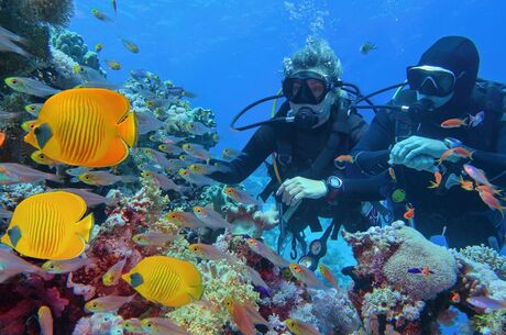 Sharm El Sheikh Turu - 3 Gece