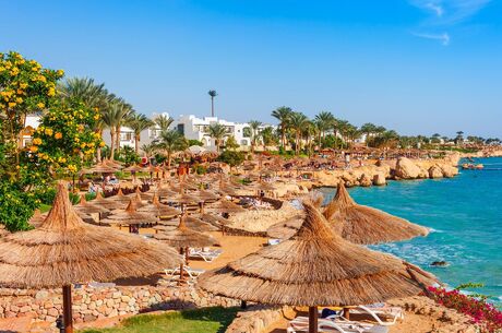 Sharm El Sheikh Turu - 3 Gece