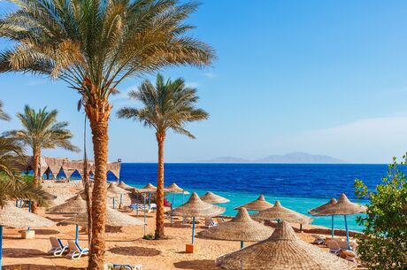 Sharm El Sheikh Turu - 3 Gece