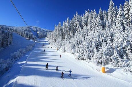  Bansko Turu