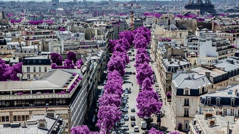 Görkemli Paris Ve İncileri Turu (Istanbul Hareketli)