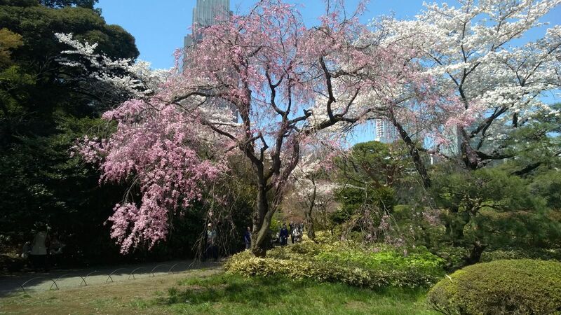 Elegant Japonya Turu 6 Gece (İstanbul Hareketli)