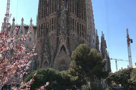 Ekspres İspanya Turu (Bcn Mad) (İstanbul Hareketli)