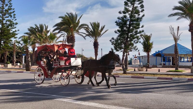 Tunus Turu 3 Gece Türk Havayolları İle (İstanbul Hareketli)