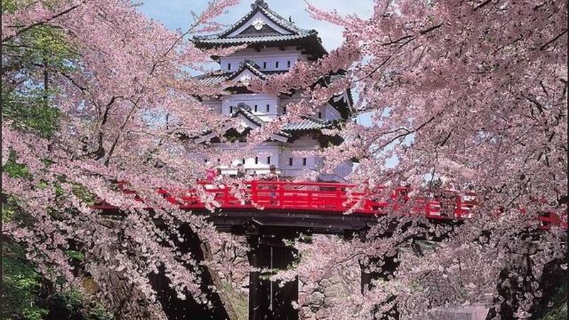 Büyük Japonya Turu (İstanbul Hareketli)