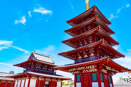 Büyük Japonya Turu (İstanbul Hareketli)