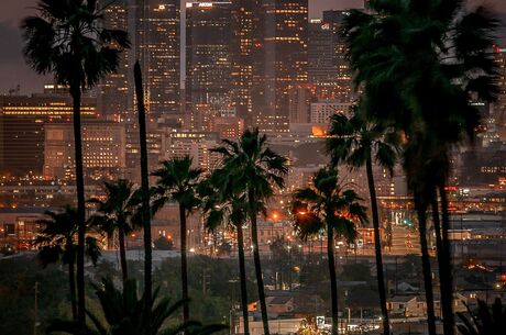 Los Angeles Las Vegas San Francisco Turu (İstanbul Hareketli)