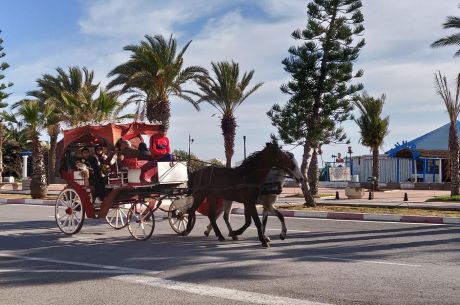 Elegant Sahra Çölü Tunus Hazineleri Türk Hava Yolları (İstanbul Hareketli)