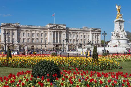 Londra Turu (İstanbul Hareketli)