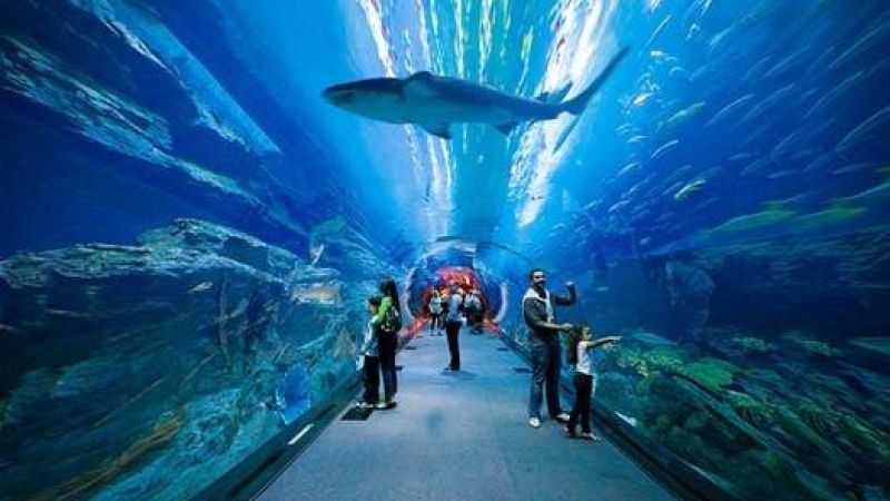 Dubai Turu Fly Dubai Havayolları - 4 Gece (İstanbul Hareketli)