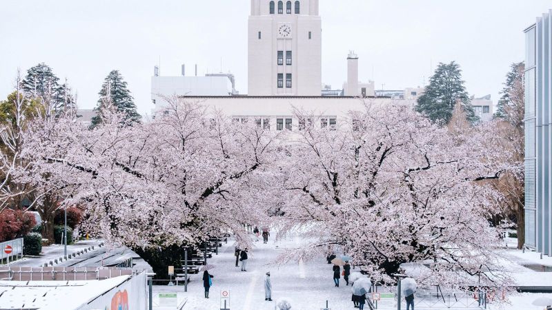 Mavi Japonya Turu (İstanbul Hareketli)